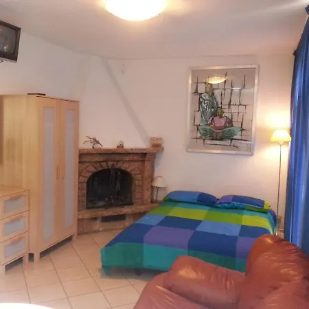 Modern With Garden *